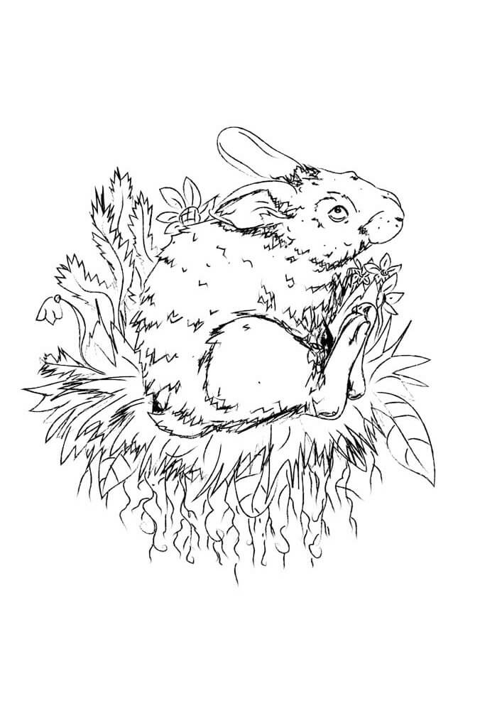Desenho de Coelho para imprimir