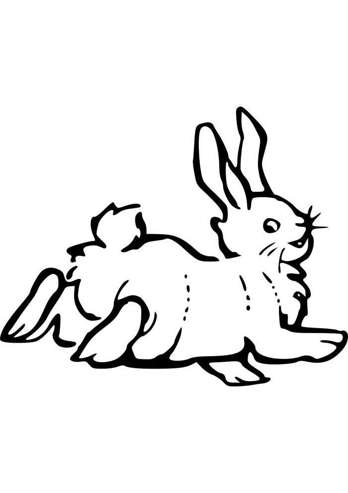 Desenho de Coelho para imprimir