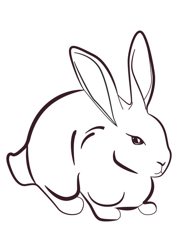 Desenho de Coelho para imprimir