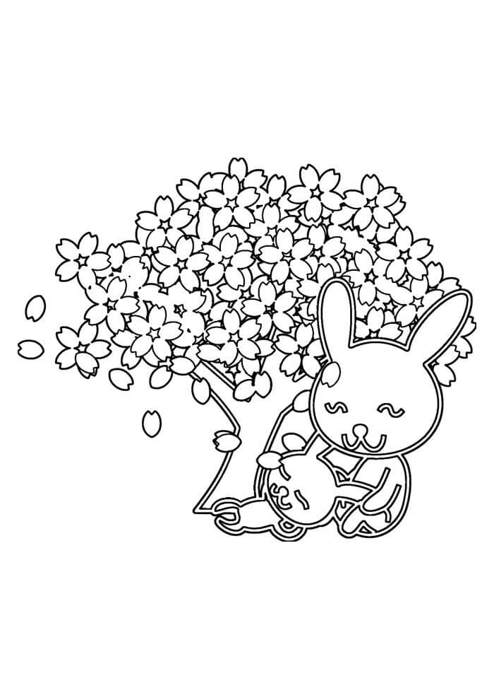 Desenho de Coelho para imprimir