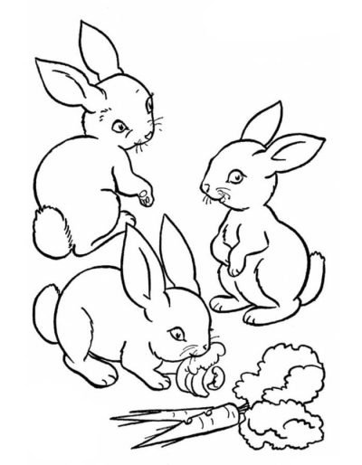 Desenho de Coelho para imprimir