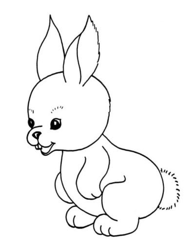 Desenho de Coelho para imprimir