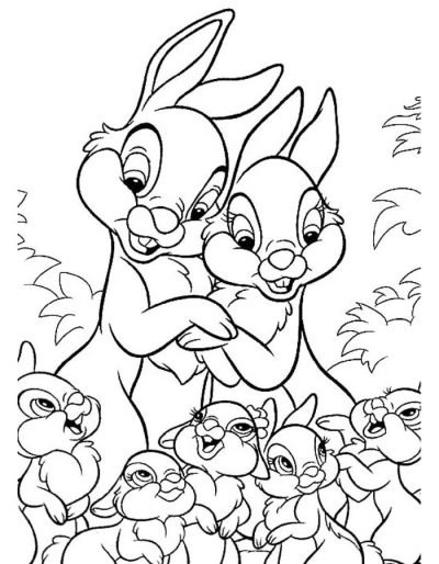 Desenho de Coelho para imprimir