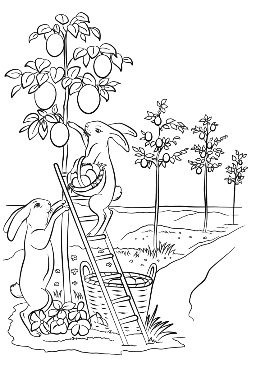 Desenho de Coelho para imprimir