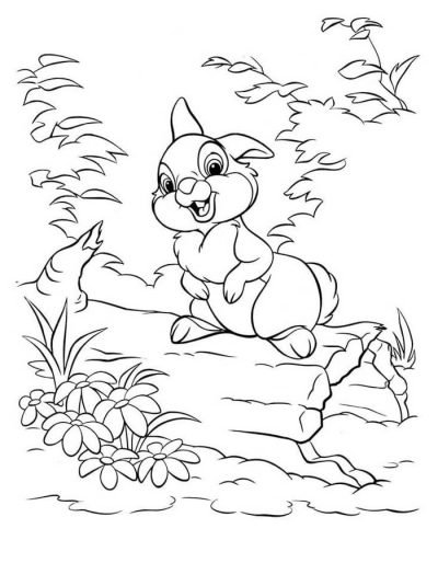 Desenho de Coelho para imprimir