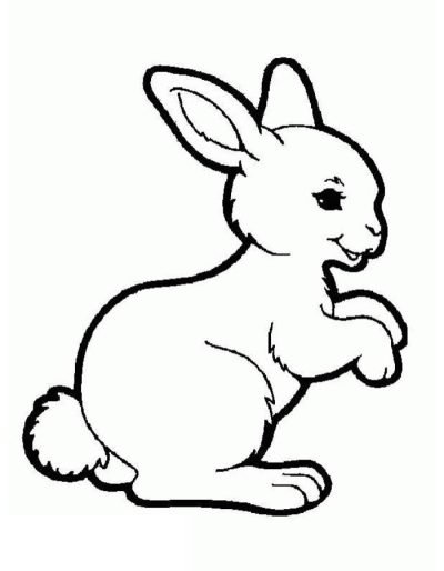 Desenho de Coelho para imprimir