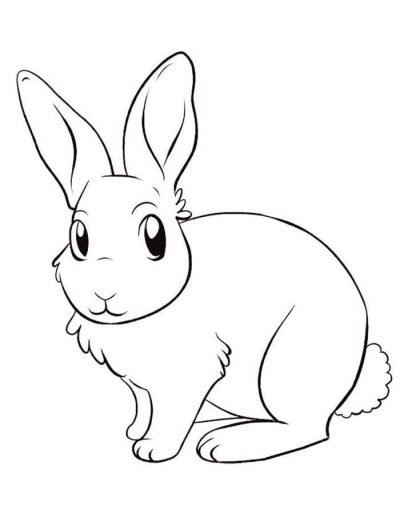 Desenho de Coelho para imprimir
