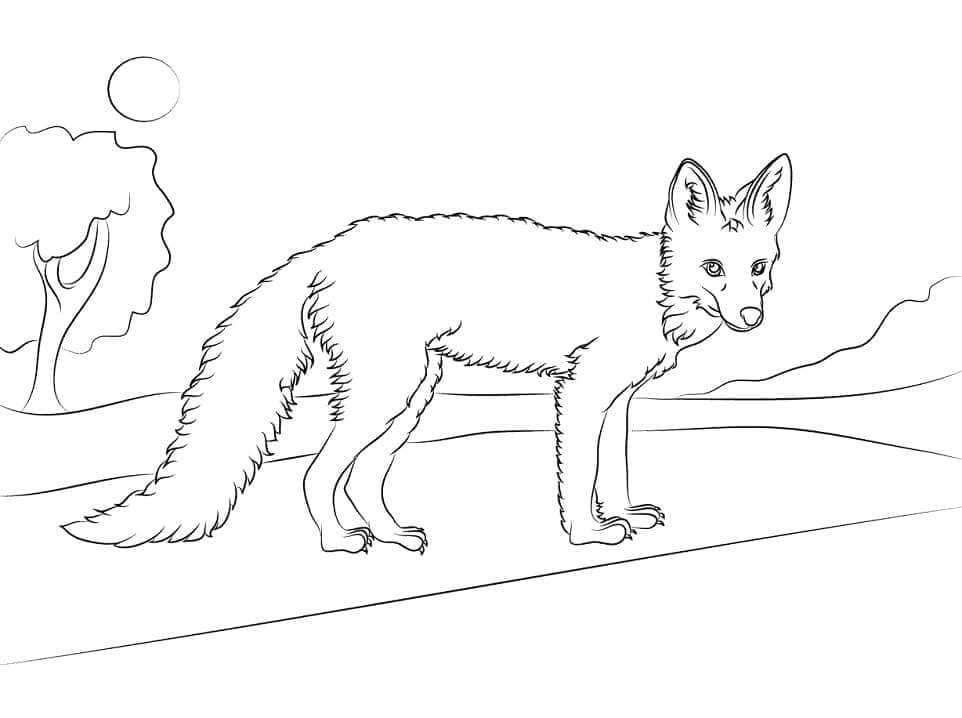 Desenho de Raposas para imprimir