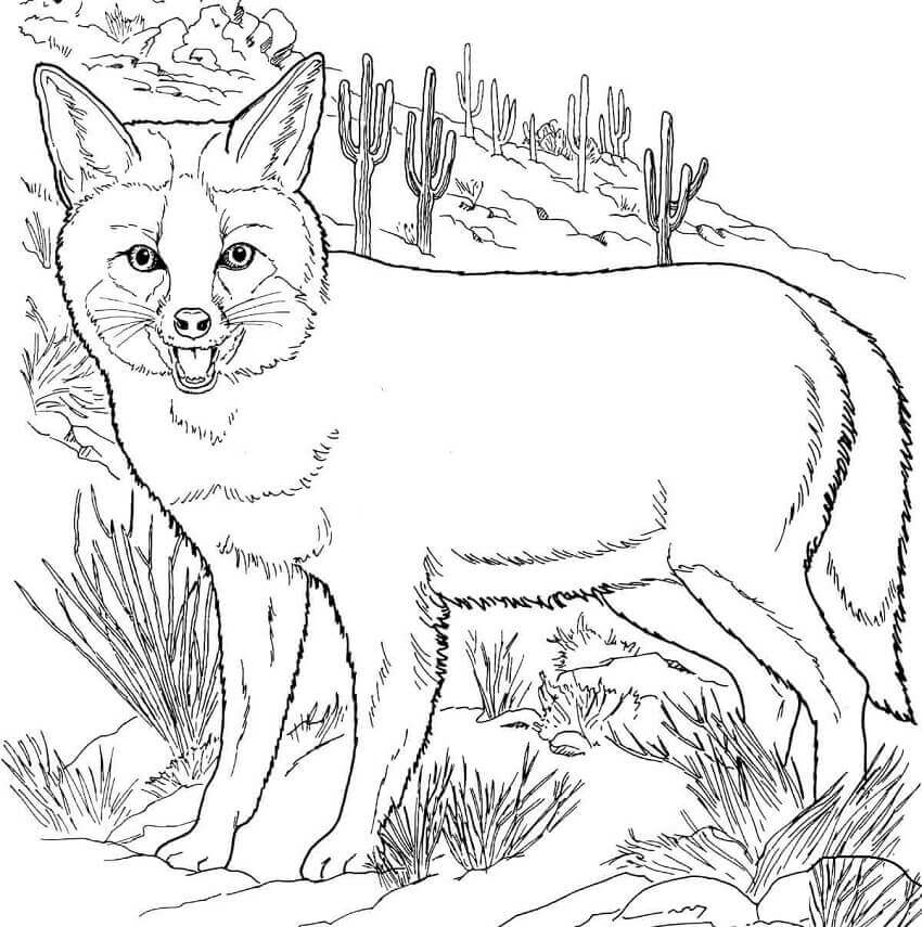 Desenho de Raposas para imprimir