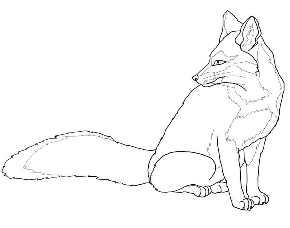Desenho de Raposas para imprimir