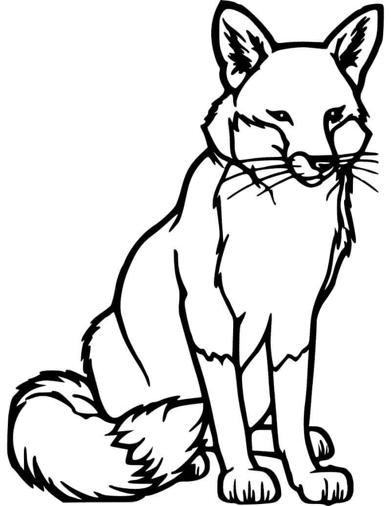 Desenho de Raposas para imprimir