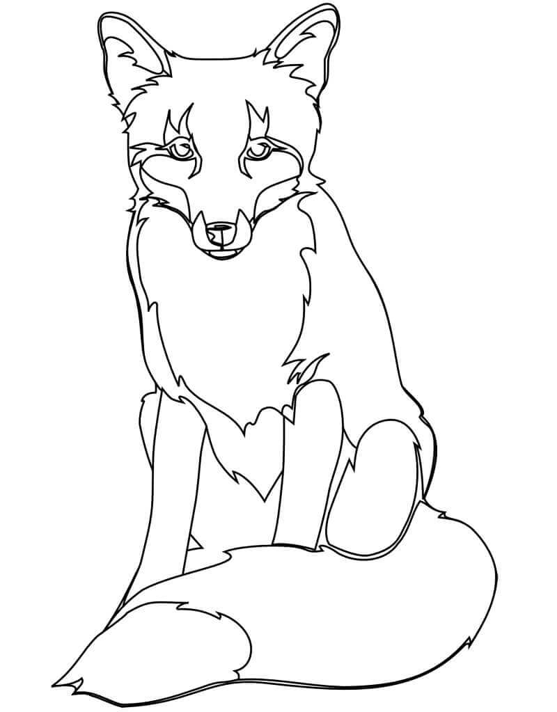 Desenho de Raposas para imprimir