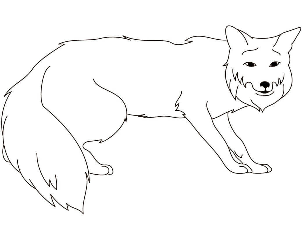 Desenho de Raposas para imprimir