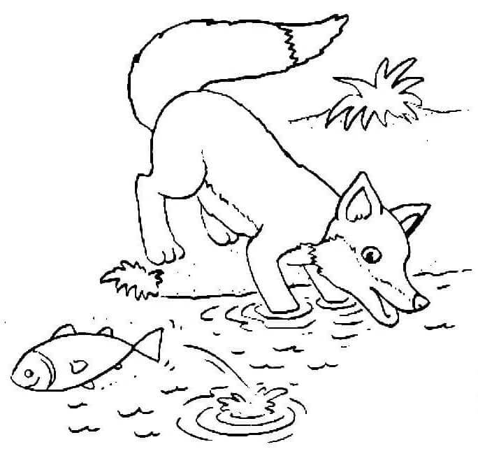 Desenho de Raposas para imprimir