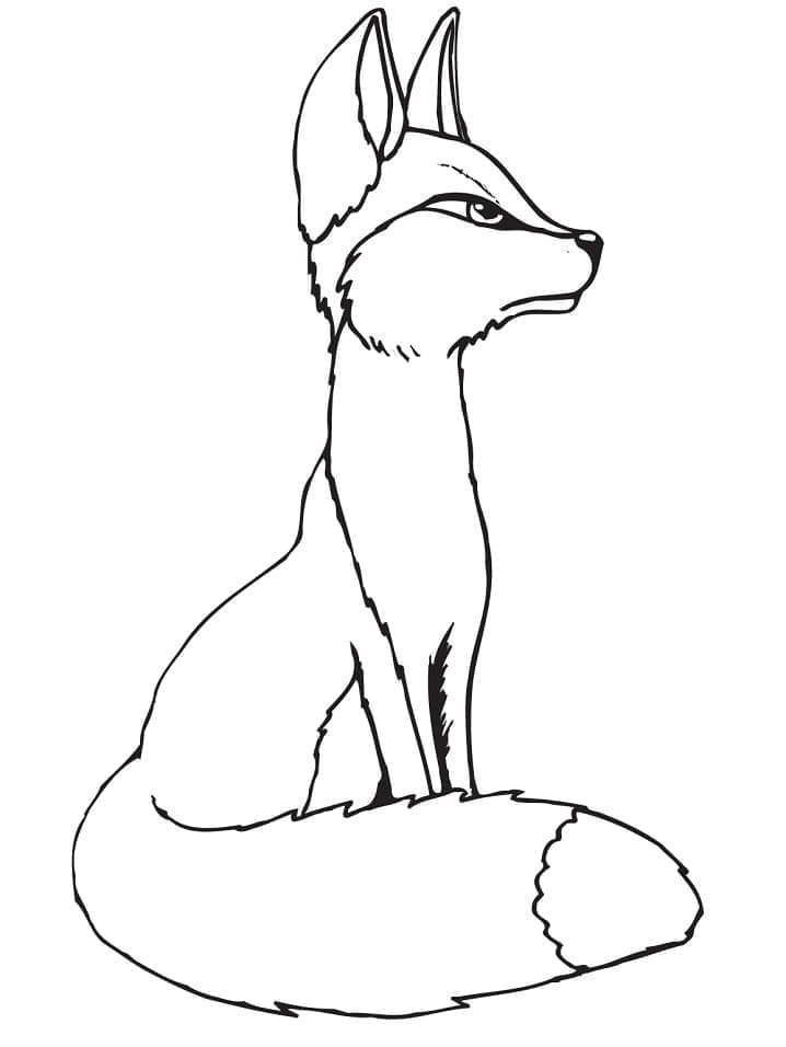 Desenho de Raposas para imprimir
