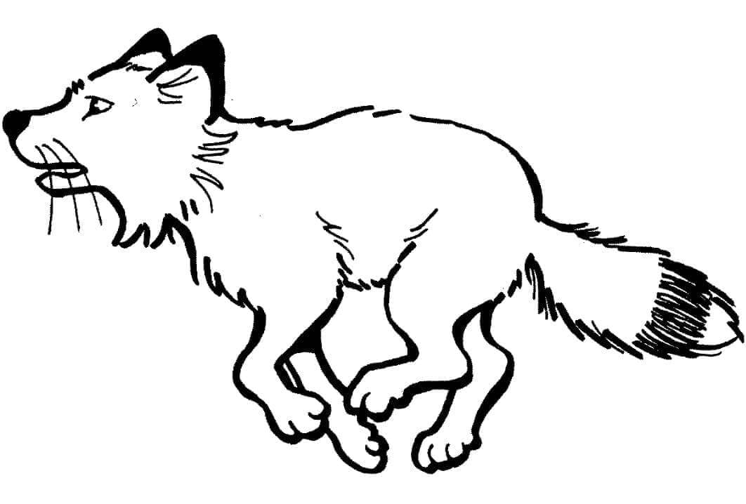 Desenho de Raposas para imprimir