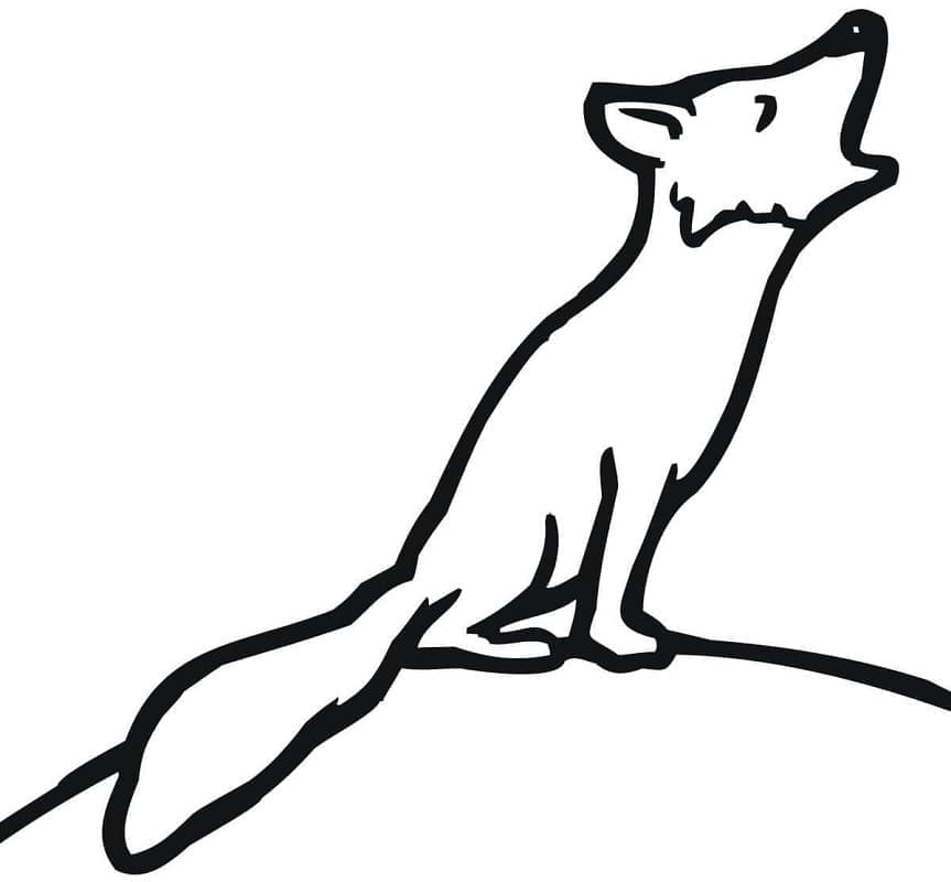 Desenho de Raposas para imprimir