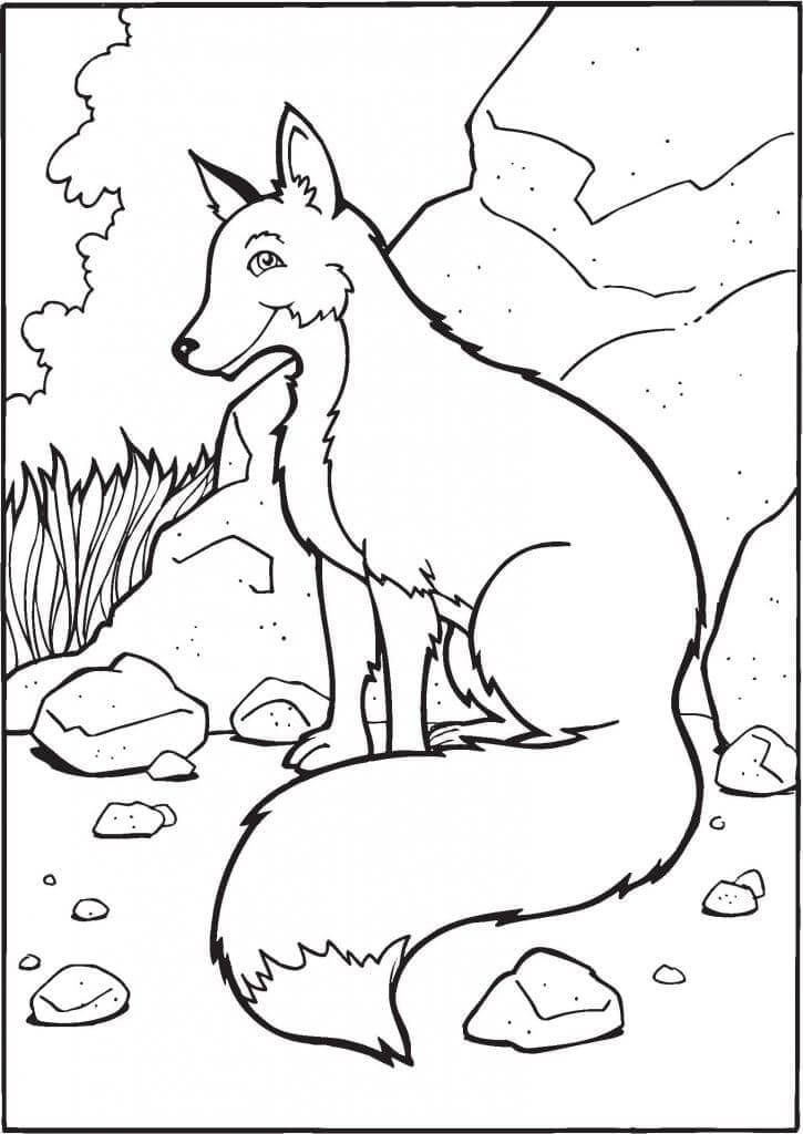 Desenho de Raposas para imprimir