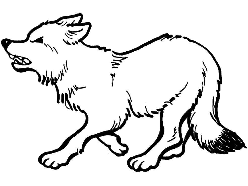 Desenho de Raposas para imprimir