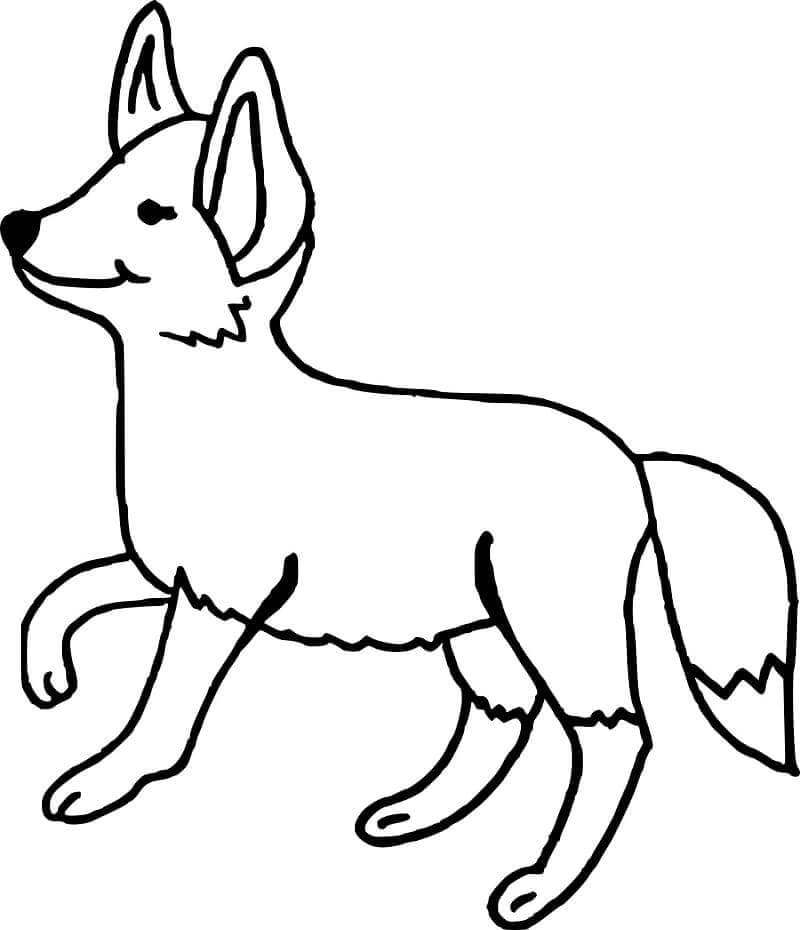 Desenho de Raposas para imprimir