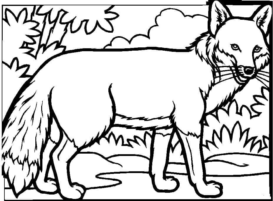 Desenho de Raposas para imprimir