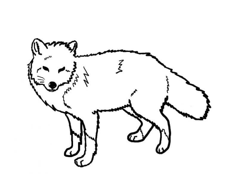 Desenho de Raposas para imprimir