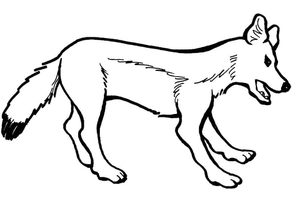 Desenho de Raposas para imprimir