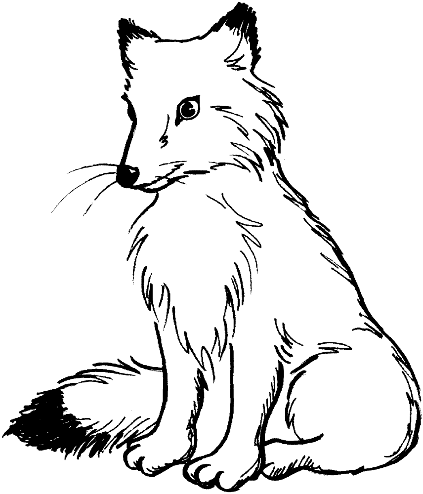 Desenho de Raposas para imprimir