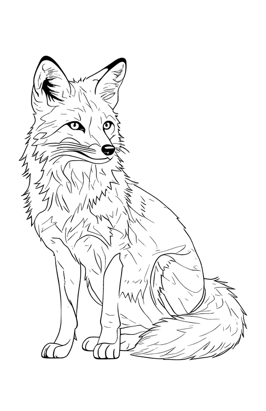 Desenho de Raposas para imprimir