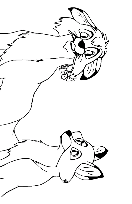 Desenho de Raposas para imprimir