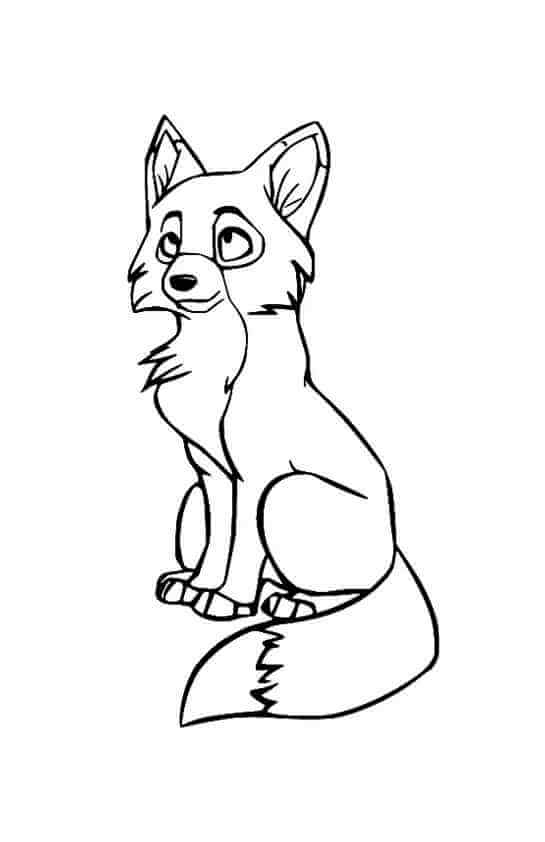 Desenho de Raposas para imprimir