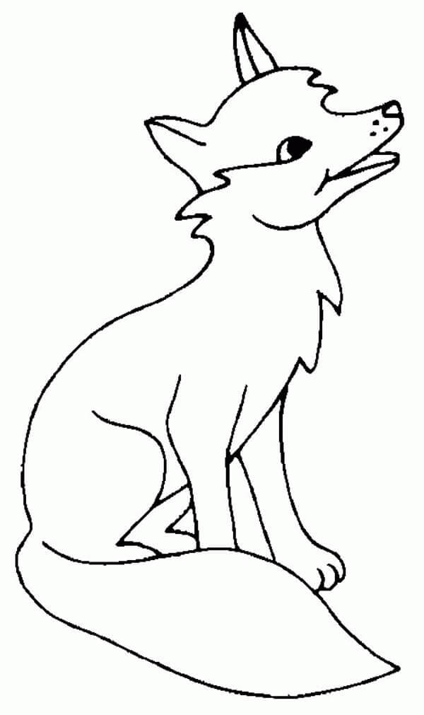 Desenho de Raposas para imprimir