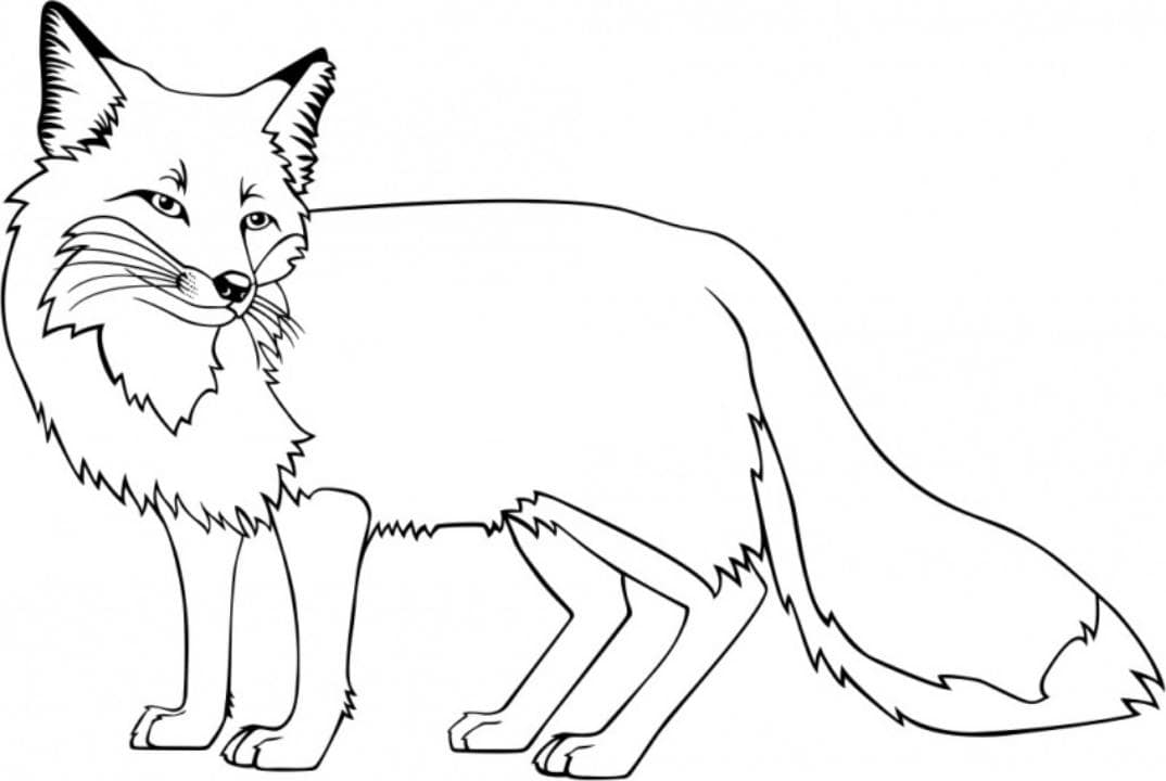 Desenho de Raposas para imprimir