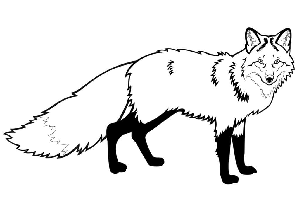 Desenho de Raposas para imprimir