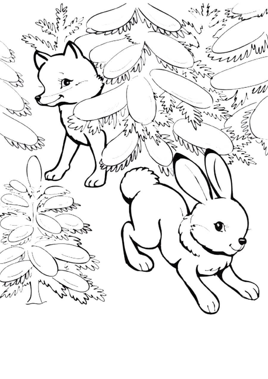 Desenho de Raposas para imprimir