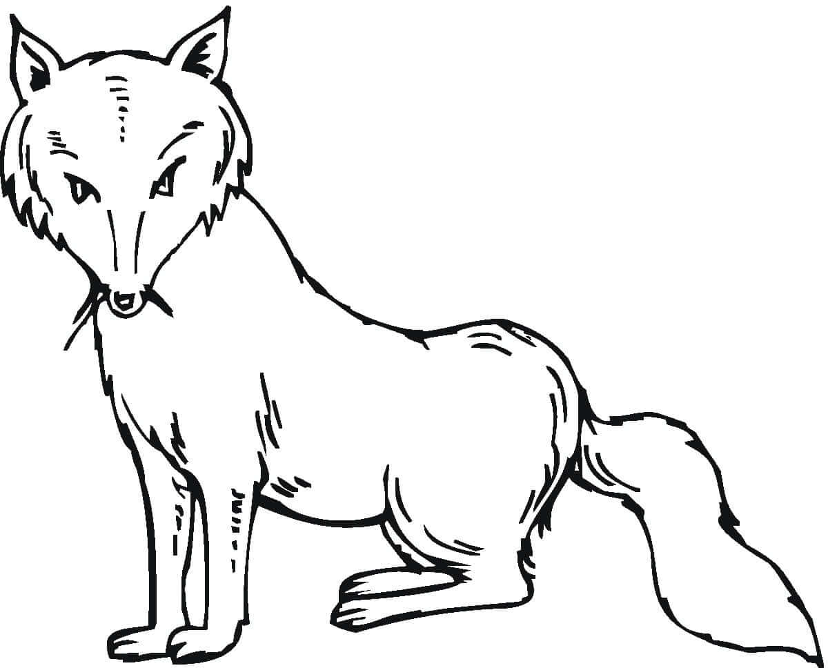 Desenho de Raposas para imprimir