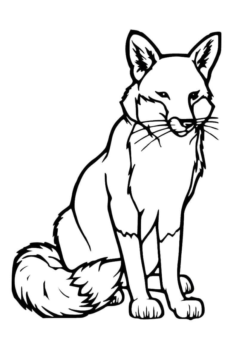 Desenho de Raposas para imprimir