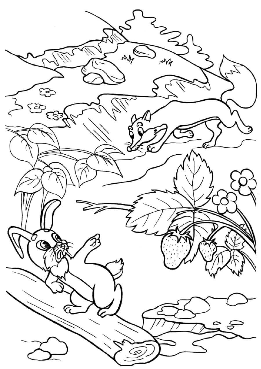 Desenho de Raposas para imprimir