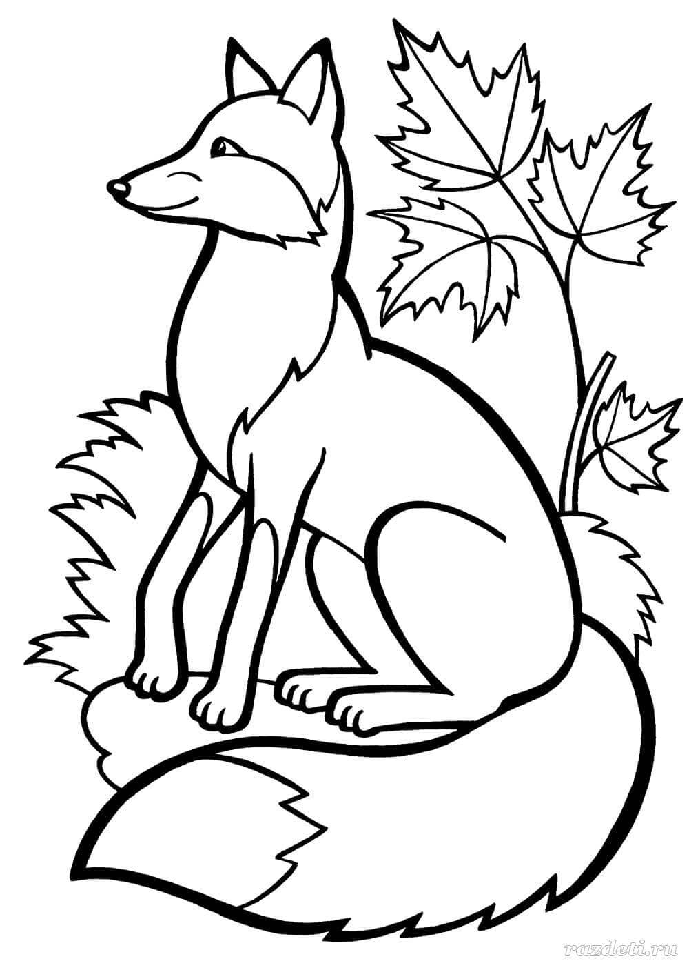 Desenho de Raposas para imprimir