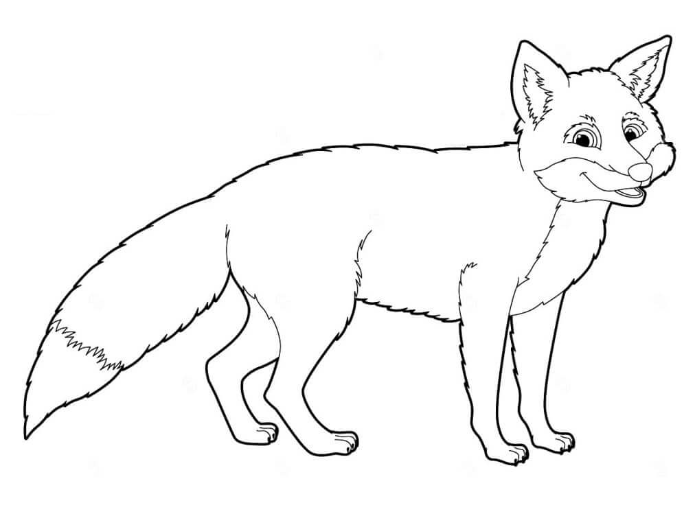 Desenho de Raposas para imprimir