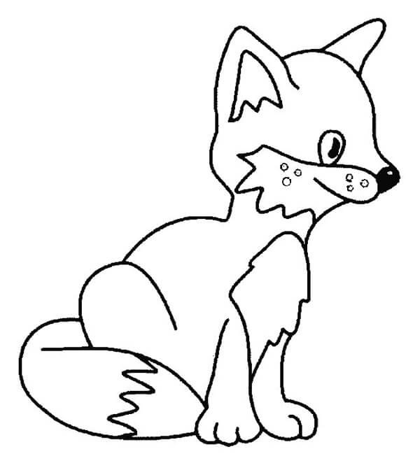 Desenho de Raposas para imprimir