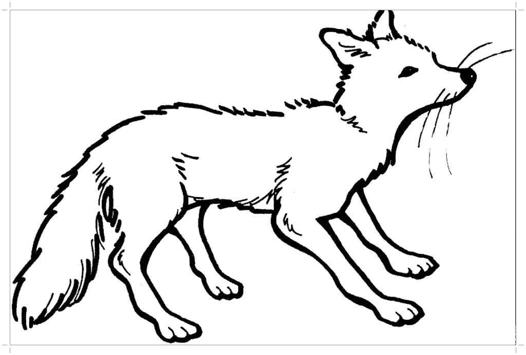 Desenho de Raposas para imprimir