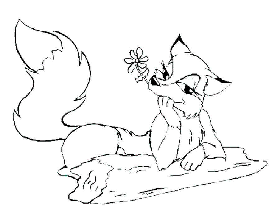 Desenho de Raposas para imprimir