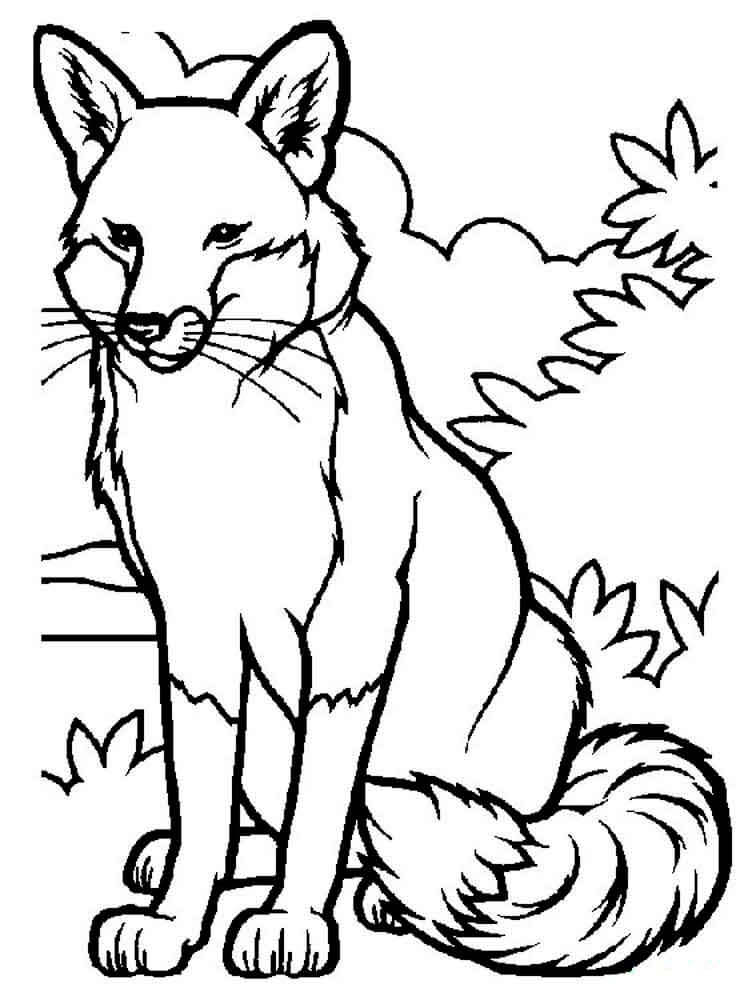 Desenho de Raposas para imprimir