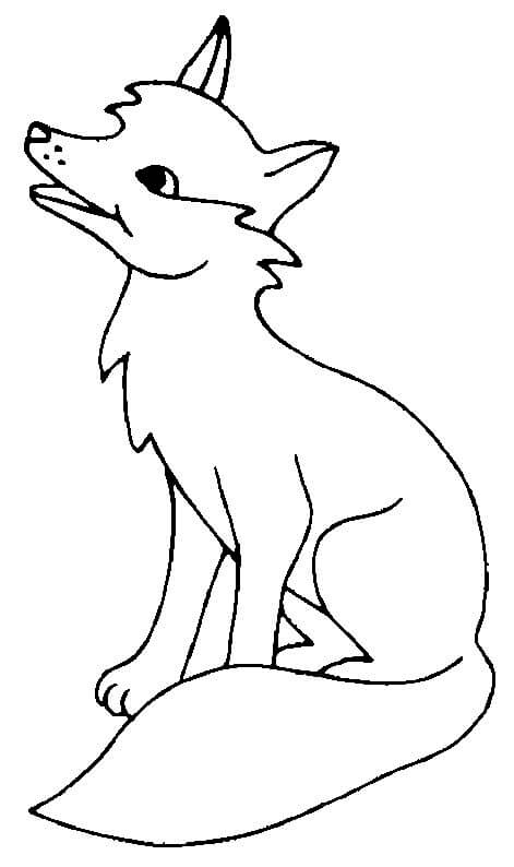 Desenho de Raposas para imprimir