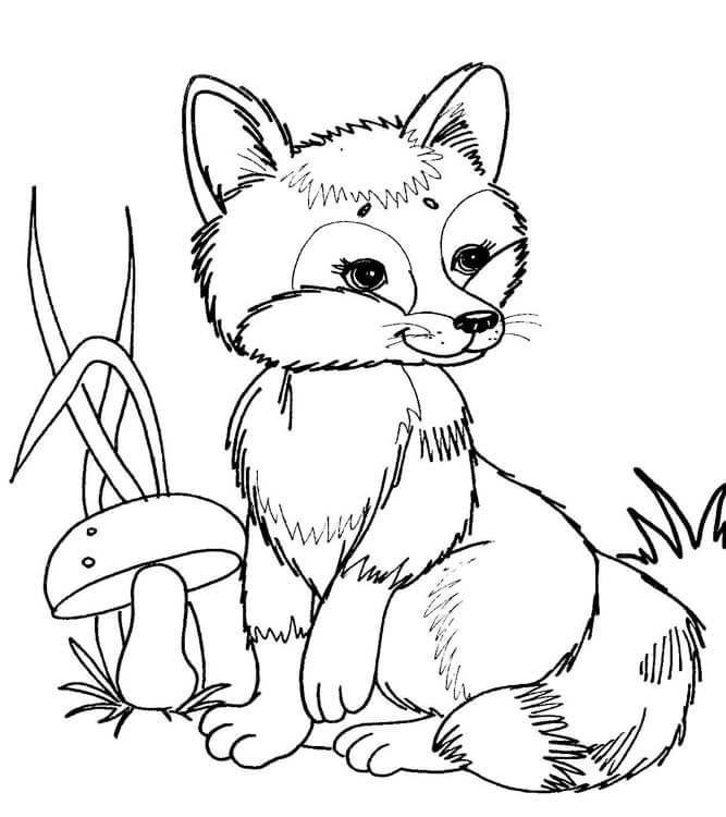 Desenho de Raposas para imprimir