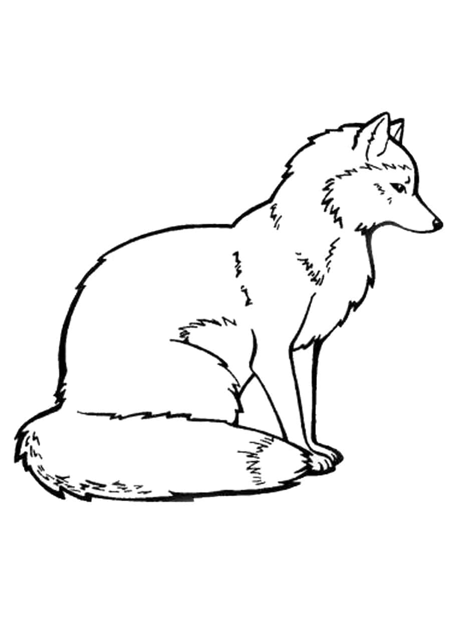 Desenho de Raposas para imprimir