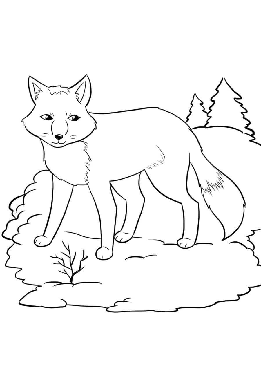Desenho de Raposas para imprimir