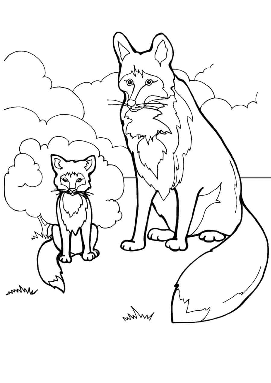 Desenho de Raposas para imprimir