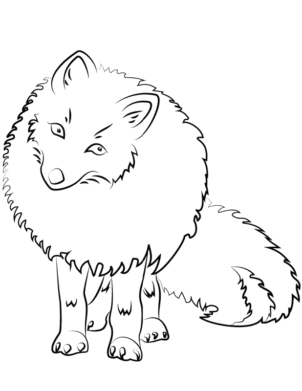 Desenho de Raposas para imprimir